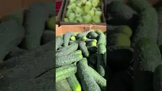 Дізнались ціни на весь асортимент овочів  та запрошуємо на #ЗакупиНаШуварі 💚