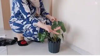 Dertleşelim mi 🤗canlarım ♥️