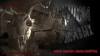 Ловушка для живых, Страшные истории (Эксклюзив)