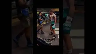 JESSE BAM RODRIGUEZ SPARRING ROMAN CHOCOLATITO GONZALEZ ⭐️🥊📈