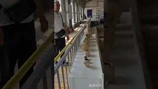 17 августа 2025 г.