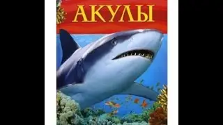игрушки для детей акулы ko макси купить