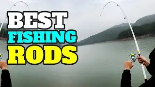 Best Fishing Rods Of 2024! || Top 5 Fishing Rods Review