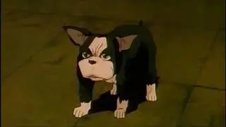 Dead of Iggy Meme