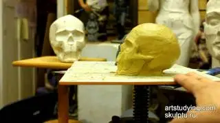 Обрубовка черепа и череп - Обучение скульптуре. Портрет, 4 серия