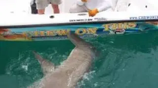 Monster Fishing -  Shark Fishing Saltwater Fishing - Monster Fish 1000 Pound Hammerhead Shark