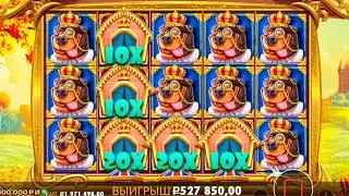 ЗАКРЫЛ ПОЛЯНУ🔥 ВОТ ЭТО СОБАКИ! ВЫДАЛИ ТОП ИКСЫ И ЛИНИИ! dog house royal hunt \ заносы недели