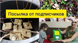 Жизнь в деревне/Долгожданная ПОСЫЛКА от подписчицы/Распаковка🌱