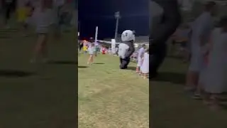 Иди к мишке, поздоровайся! :) o-O{{==}}O-o