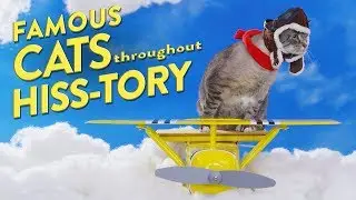 4 Famous Cats Throughout History | Chewy