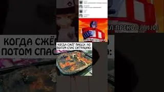 мем дня 