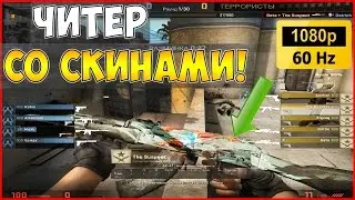 ЧИТЕР С ДОРОГИМИ СКИНАМИ! l ПАТРУЛЬ В CS:GO #6