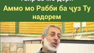 Шайх Пурдил❤