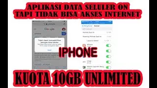 Resolve unable to activate cellular network data on Iphone
