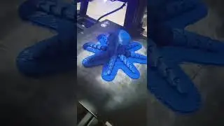 The ROCKTAPUS. Half Dwayne the Rock Johnson with other half Octopus 🐙 #viral #therock #rocktopus