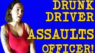 KAREN Kicks Cop! DUI Gone WAY Wrong!