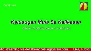 DWXI 1314 AM Live Streaming (Monday - August 26 , 2024) #kalusuganmulasakalikasan
