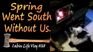 Our Off Grid Life.  Spring Went South Without Us.  A Backwoods Living Vlog.