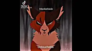Warrior Cat TikTok’s