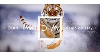Vanic x K.Flay - Cant Sleep NoCopyright