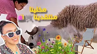 اجيو ديو معانا الحولي للدار 🐏 و التقداو معانا للعيد 🛍️🛒