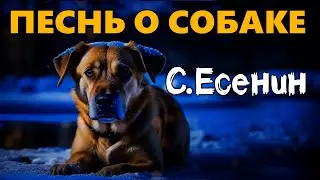 Читаю стих Сергея Есенина 