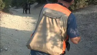 DEDE POSTASI KÖYLÜCE DOMUZ AVI (WİLD BOAR HUNTİNG)