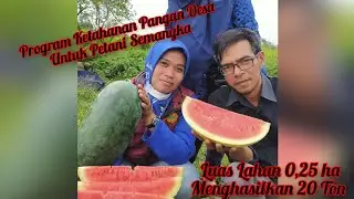 Keberhasilan Program Ketahanan Pangan  Desa Citeras Kecamatan Rangkasbitung