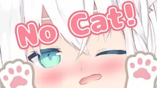 Can you be my Cat???