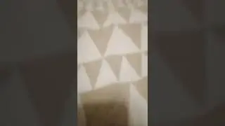 1 sek Video!