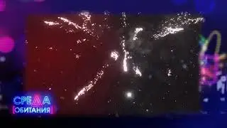 ФЕЙЕРВЕРКИ 🎆 СРЕДА ОБИТАНИЯ | АНОНС