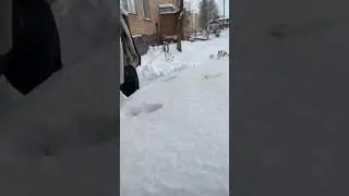 Видимо у не был сильный шок от увиденного