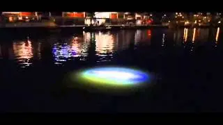 SPOOKY DISCOVERY A glowing eel-like creature has stunned locals in the English city of Bristol.