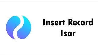 Insert Data | Isar  - Flutter
