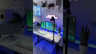 Developer pc 
