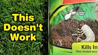 A HUGE Mistake People Make KILLING GRUBS In The Fall