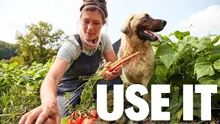 10 Tips to USE and PRESERVE Your Garden Produce
