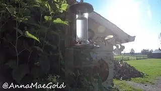 hummingbird & firewood