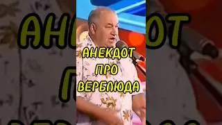 МАМЕНКО АНЕКДОТ 🐫 ПРО ВЕРБЛЮДА