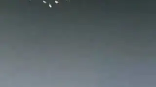 Птицы делают Таваф вокруг Каабы!