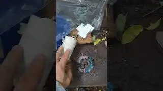 Буровой насос ГНОМ 16-16Д ЛГМ|Какой конденсатор стоит?|Замена рабочего колеса и диафрагмы #shorts