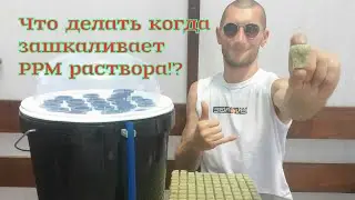 Ppm воды зашкаливает,что делать!!!