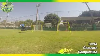 Treinamento de Goleiro