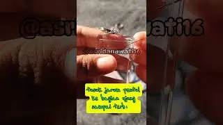 Yuk samaan #trending #gurusd #shortvideo #gurukreatif #gurukeren