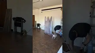 Set up your 8’x8’ photography backdrop in minutes with the Westcott x drop pro!
