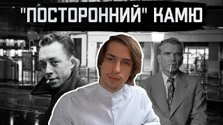 The philosophy of Albert Camus, the novel 