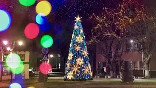 Nemenčinės eglutė 2020-2021m.