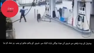 petrol expensive ۔..petrol mehnga .  .  .  expensive petrol  .  .  .  .  .  petrol  .  .  .  i m mad