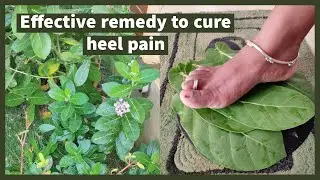 Effective Home Remedy For Heel Pain | குதிகால் வலி வீட்டு வைத்தியம் | குதிகால் வலி ஏன் வருகிறது?
