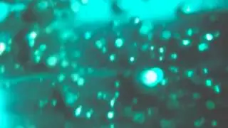 el peej & Ality - Origins